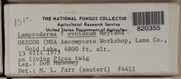 Image Associated With the Occurence